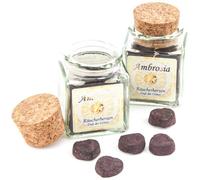 Berk HS-100-P4 - Bastoncini di incenso, 2 x Ambrosia