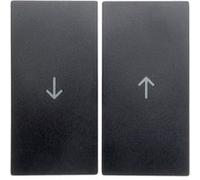 Berker 16251606 - Anthracite - Thermoplastic - 10 pc(s)