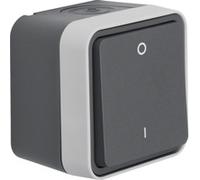 Berker 30723505 - 10 A - 250 V
