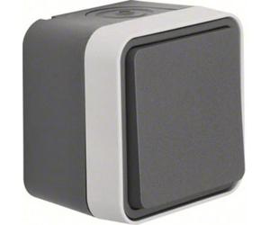 Berker 30763505 Commutatore Superficie W.1 Grigio, Grigio luminescente 1 pz.
