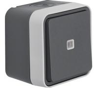 Berker 30763525 - Buttons - Grey - Blue - 10 A - 250 V