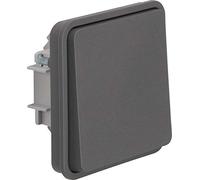 Berker 50453515 - Inserto per Pulsante W.1, Colore: Grigio Chiaro