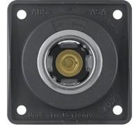 Berker 845712505 - Anthracite - Thermoplastic - 12 V - 200 pc(s) - Polybag