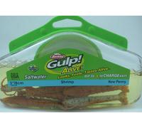 Berkley 1296198 GASHPSH3-NP 3" Gulp Alive 8 Oz 1/2 Pint Nuovo Penny