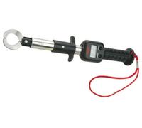 Berkley BGLGDS Big Game Lip Grip Con Bilancia 14" Digitale