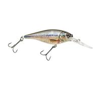 Berkley Flicker Shad Esca da pesca, HD Fathead Minnow, 5/16 oz, 2 3/4" | 7 cm Crankbaits, dimensioni, profilo e profondità di immersione imita Real Shad, dotato di gancio Fusion19