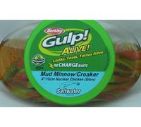 Berkley GAOMMC4-NCH Gulp Alive 4" Mud Minnow 11 Oz Secchio Nuclear Chicken