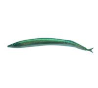Berkley Gulp Alive Cicerello / Mare Pesca Esche Artificiali