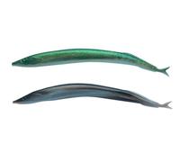 Berkley Gulp Alive Cicerello / Mare Pesca Esche Artificiali