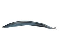Berkley Gulp Alive Cicerello / Mare Pesca Esche Artificiali