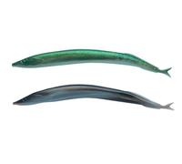 Berkley Gulp Alive Sandeel Artificiale In Silicone Morbido