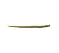 Berkley Gulp!® Esca da pesca Isome Futomi per acqua salata | Diffusione estrema del profumo per una zona di pesca più ampia | Esca morbida realistica per la pesca dei predatori | Opzioni multiple