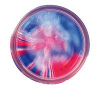 Berkley Powerbait Extra Scent, Esca trota glitterata, Multicolore (Red/White/Blue), 2 X 50g
