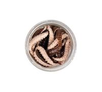 Berkley Artificiale Sintetico da Pesca Spinning e Casting Powerbait Power Honey Worms