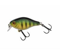 Berkley Pulse Fry Shallow Crankbait Esca da pesca, esca rigida ultra-realistica, minnow galleggiante per persico, trota, cavedano, aspio, alta capacità di lancio, lancio a spot stretto, 3,8cm, Persico