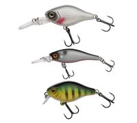 Berkley Pulse Hard Bait Packs, Amo da pesca, Esche rigide, Pesca predatori, Unisex, Trota