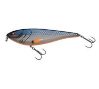Berkley Zilla Glider Esca per la pesca del luccio | Esca scorrevole facile da usare con sistema Weight Ramp | Esca per predatori d'acqua dolce con profondità 0,5-2 m | 16 cm | 67 g | Two Tone Fegis
