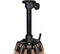 Berlebach Treppiede-Legno Report 222/P