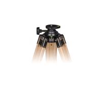 Berlebach Treppiede-Legno Report 833