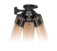 Berlebach Treppiede-Legno Report 833