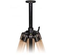 Berlebach Treppiede-Legno Report 923