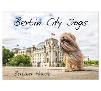 Berlin City Dogs - Berliner Hunde (Wandkalender 2026 DIN A2 quer), CALVENDO Monatskalender: Berliner Hunde in urbaner Umgebung.