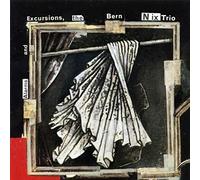 Bern Nix Trio - Alarms & Excursions