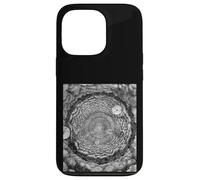 Bernard de Fontenelle Conversazioni sulla pluralità dei mondi Custodia per iPhone 13 Pro