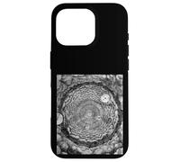 Bernard de Fontenelle Conversazioni sulla pluralità dei mondi Custodia per iPhone 16 Pro