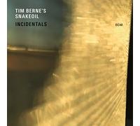 Berne Tim - Incidentals