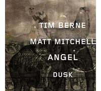 Berne,Tim/Mitchell,M - Angel Dusk