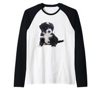 Bernedoodle Dog Mini Bernedoodle Super Cute Canine Maglia con Maniche Raglan