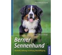 Berner Sennenhund: Auswahl, Haltung, Erziehung, Beschäftigung