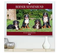 Berner Sennenhund - Der beste Freund fürs Leben (hochwertiger Premium Wandkalender 2026 DIN A2 quer), Kunstdruck in Hochglanz: Er ist traumhaft schön, ... 13 wundervolle Bilder dieser Traumhunde.