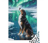 Bernese Mountain Dog Jigsaw for Adults 1000Pc Brainteasing Games Birthday Gifts Challenge 1000pcs (75x50cm)