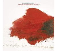 Bernocchi Eraldo - Like A Fire That Consumes All Before It