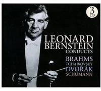 Bernstein, L. - Conducts Brahms Tchaikovsky (4 CD)
