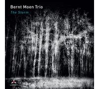 Bernt Moen Trio - The Storm