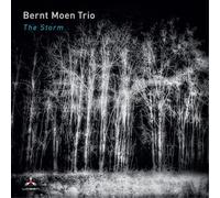 Bernt Moen Trio - The Storm