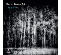 Bernt Moen Trio - The Storm