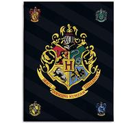 BERONAGE - Coperta in pile di Harry Potter Hogwarts, 150 x 200 cm, super morbida, coperta per divano, coperta in pile, biancheria da letto, con stemma di Grifondoro, Tassorosso, Corvonero e Serpeverde