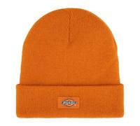 Berretto Dickies Gibsland Acero Autunnale