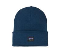 Berretto Patagonia Everyday Beanie (Glacial Blue) Unisex ALL