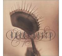 Berry,Heidi - Berry,Heidi [Vinyl LP]