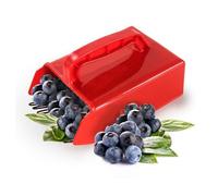 Berry Picker Comb - Red Blueberry Harvesting Rake | Cascolo di Frutta Manuale con Pettine | Strumento di Raccolta di Bacche per Manico Ergonomici per Il Giardino | Raccolta di Bacche Portati