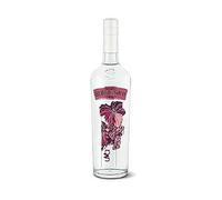 BERTAGNOLLI ACQUAVITE D'UVA ROSSA 70 CL