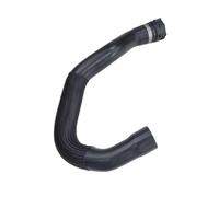 BERTGDA Tubo flessibile for pompa del liquido di raffreddamento e termostato, adatto for F02 F18 da 5' 7' 11537581942 gruppo alloggiamento termostato liquido di raffred