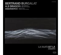 Bertrand Burgalat - La Nuit est la (2LP)