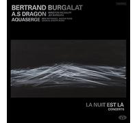 Bertrand Burgalat - La Nuit est la (Concerts)