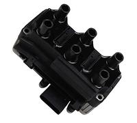 Bobina di accensione Tipo di raccordo dente di sega ZSE013 BorgWarner (BERU)